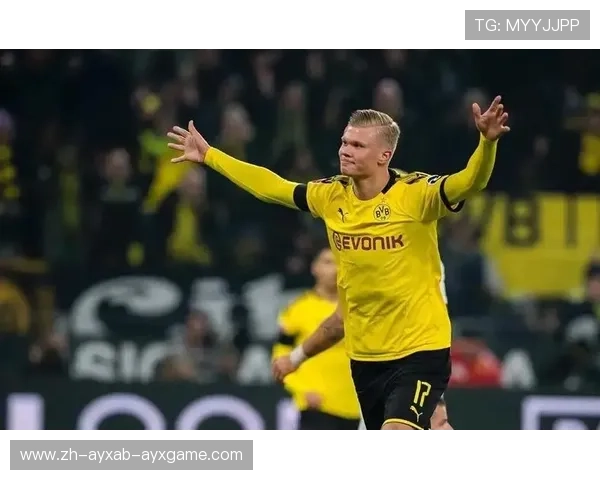 德甲球队资格与注册标准介绍