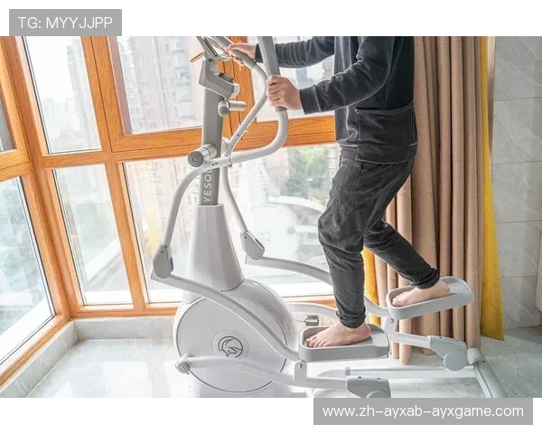 网购健身器材的注意事项与平台推荐