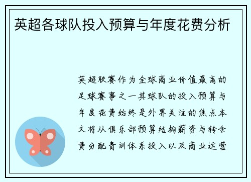 英超各球队投入预算与年度花费分析